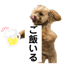 [LINEスタンプ] トイプードルのもぐ3