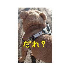 [LINEスタンプ] ぶんと友達2