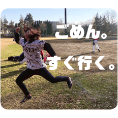 [LINEスタンプ] とりま今夜も京王線反省会