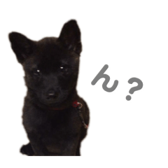 [LINEスタンプ] 佐久間くまたろう