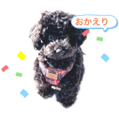 [LINEスタンプ] 黒トイプ.ぽんず
