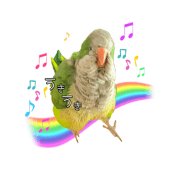 [LINEスタンプ] オキナインコ てと part2