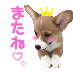 [LINEスタンプ] ネルスタンプ2