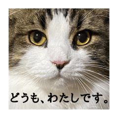 [LINEスタンプ] どうも、るーちゃんです