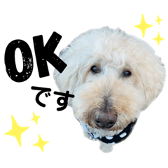 [LINEスタンプ] 今日のひまこも④