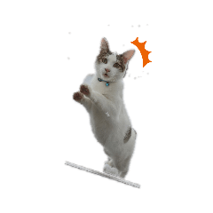 [LINEスタンプ] さくらんぼー