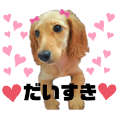 [LINEスタンプ] ダックスフンドのミルちゃん♡