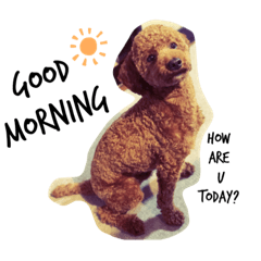 [LINEスタンプ] WON WON collection