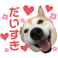 [LINEスタンプ] よしりつのスタンプ