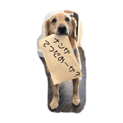 [LINEスタンプ] ゴールデン大和