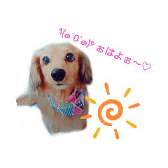 [LINEスタンプ] ミニチュア^^*
