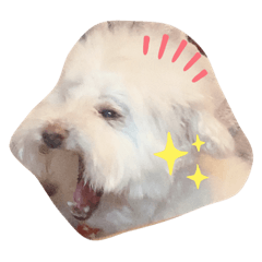 [LINEスタンプ] おちょのすたんぷ