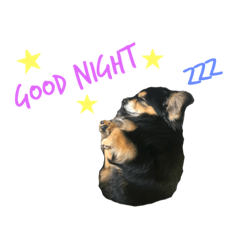 [LINEスタンプ] チュララStamp