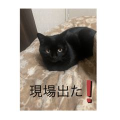 [LINEスタンプ] ととてて