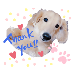 [LINEスタンプ] まいにち はっぴぃ♡