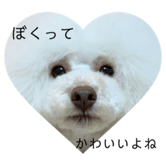 [LINEスタンプ] かわいすぎるハッピー
