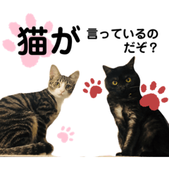 [LINEスタンプ] かぎさんと紫苑 3