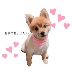 [LINEスタンプ] ここの気持ち！
