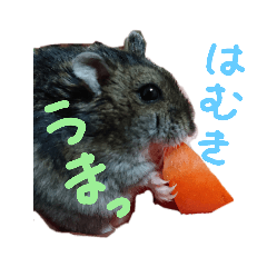 [LINEスタンプ] はむきのすたんぷ