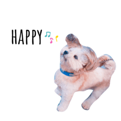 [LINEスタンプ] ショコラ②