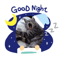 [LINEスタンプ] うちのチビにゃん