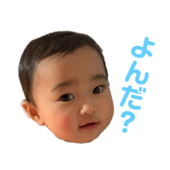 [LINEスタンプ] あおちゃんのゆるゆる日常
