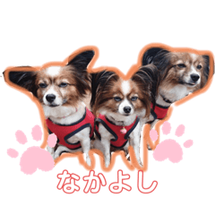 [LINEスタンプ] テン＆クウ＆ソラ