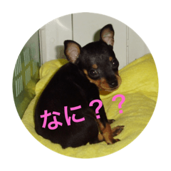 [LINEスタンプ] るん＆ソル