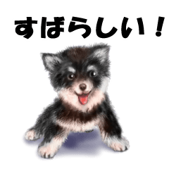[LINEスタンプ] リアルかわいい子犬（日本語バージョン）の画像（メイン）