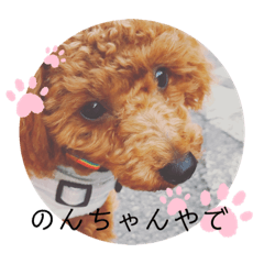[LINEスタンプ] トイプのんちゃん