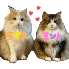 [LINEスタンプ] ミントとライム1