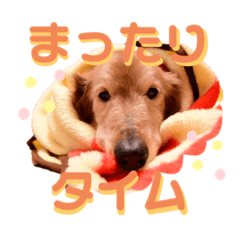 [LINEスタンプ] ドナルドカンカンおじじ丸