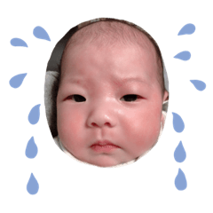 [LINEスタンプ] さーちゃんスタンプ。