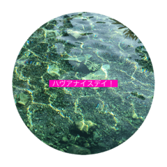 [LINEスタンプ] 水面上での会話