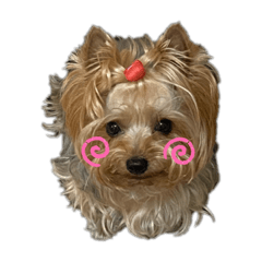 [LINEスタンプ] 鈴木エルトン