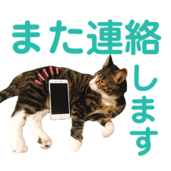[LINEスタンプ] かぎさんと紫苑 4