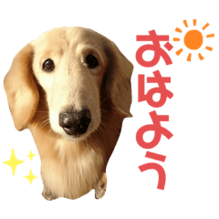 [LINEスタンプ] モメ様2