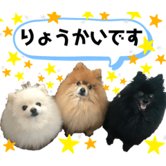 [LINEスタンプ] 小林さんちの犬2