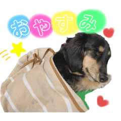 [LINEスタンプ] だいずシリーズ①