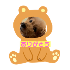[LINEスタンプ] 空ちゃんのあいさつ