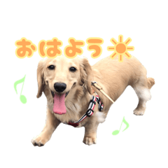[LINEスタンプ] みるおくんスタンプ