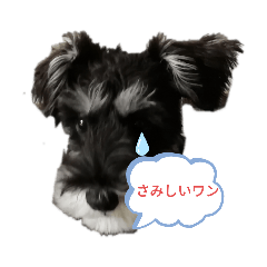 [LINEスタンプ] 気持ち分かってワン