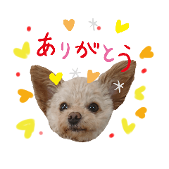[LINEスタンプ] モカちゃん日記その4