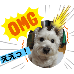 [LINEスタンプ] 犬の気持ちピース＆ケンケン