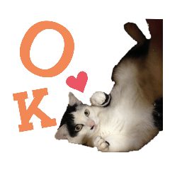 [LINEスタンプ] うたと、佐吉と、時々三成