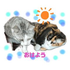 [LINEスタンプ] かりまろん