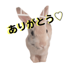 [LINEスタンプ] ロロの舞