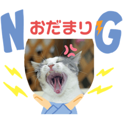 [LINEスタンプ] 猫カフェねこまんまです