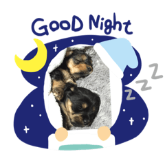 [LINEスタンプ] 我が家のアイドル 5人兄妹