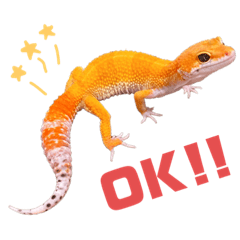 [LINEスタンプ] レオパのミューシャ